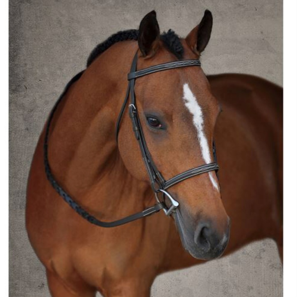 Gorgeous pony bridle in great condition!